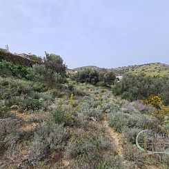 Kavel in Pitsidia