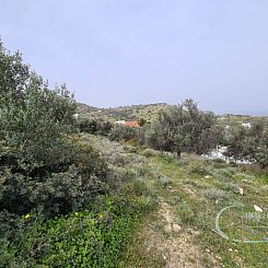Kavel in Pitsidia