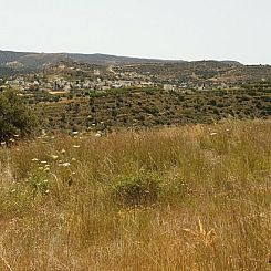 Kavel in Pitsidia