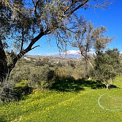Kavel in Pitsidia