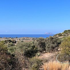 Kavel in Pitsidia