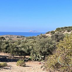 Kavel in Pitsidia