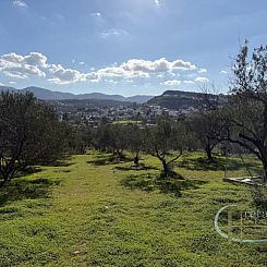 Kavel in Pitsidia