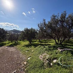 Kavel in Pitsidia