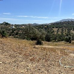 Kavel in Pitsidia
