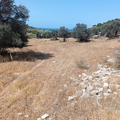 Kavel in Pitsidia