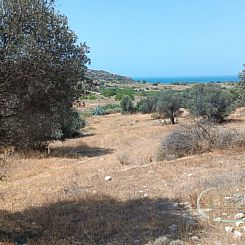 Kavel in Pitsidia