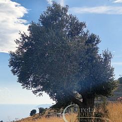 Kavel in Agios Georgios