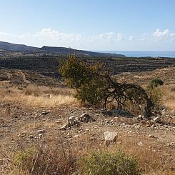 Kavel in Kamilari