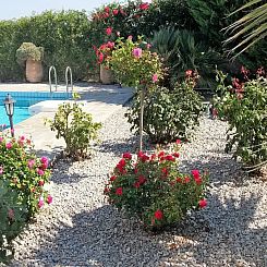 Villa Estia met privé zwembad