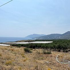 Kavel in Keratokampos