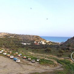 Kavel in Keratokampos