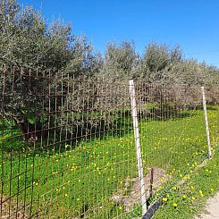 Kavel in Rethimno