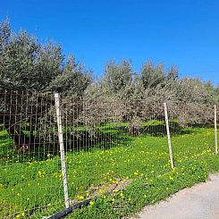 Kavel in Rethimno