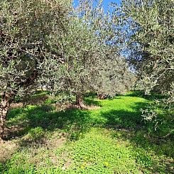 Kavel in Rethimno