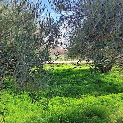 Kavel in Rethimno