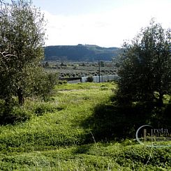 Kavel in Vori