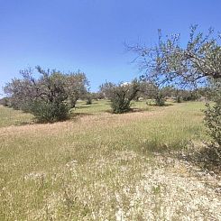 Kavel in Heraclion Cretes, Agia Triada
