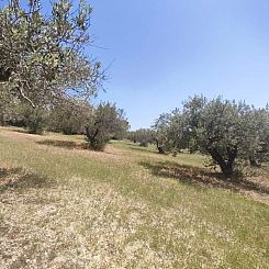 Kavel in Heraclion Cretes, Agia Triada