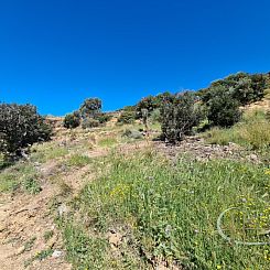 Kavel in Triopetra
