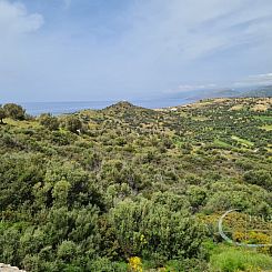 Kavel in Triopetra
