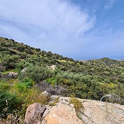 Kavel in Triopetra
