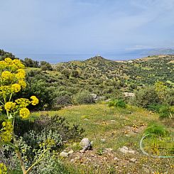 Kavel in Triopetra