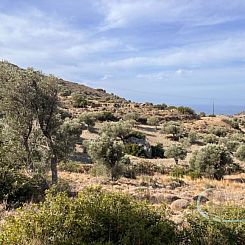 Kavel in Triopetra