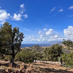 Kavel in Triopetra