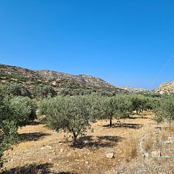Kavel in Matala