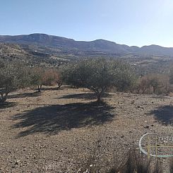 Kavel in Sivas