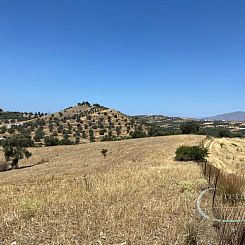 Kavel in Sivas