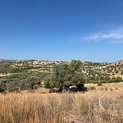 Kavel in Sivas