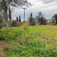 Kavel in Faneromeni
