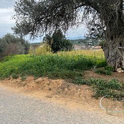 Kavel in Faneromeni