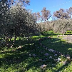 Kavel in Faneromeni