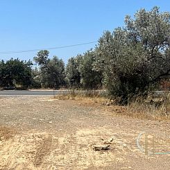 Kavel in Agia Galini