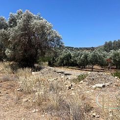 Kavel in Agia Galini