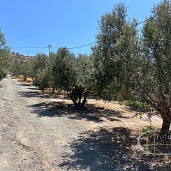 Kavel in Agia Galini