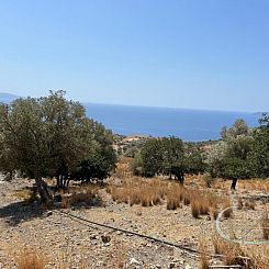 Kavel in Agia Galini