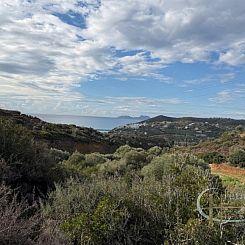 Kavel in Agia Galini