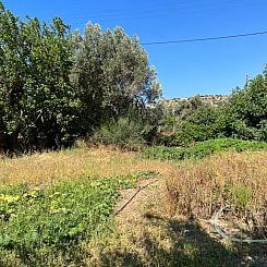 Kavel in Agia Galini