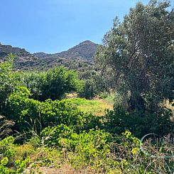 Kavel in Agia Galini