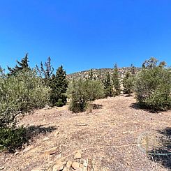 Kavel in Agia Galini