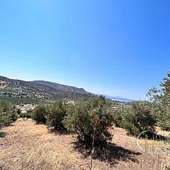 Kavel in Agia Galini