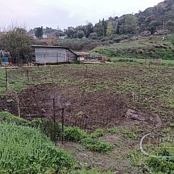 Kavel in Zaros