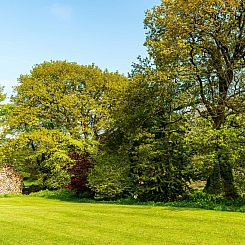 Vakantiehuis Lodge 5