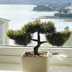 Appartement Wohnung mit Meerblick in Torquay