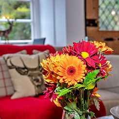 Vakantiehuis Little Haven