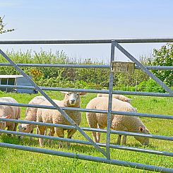 Vakantiehuis Hawthorn Barn